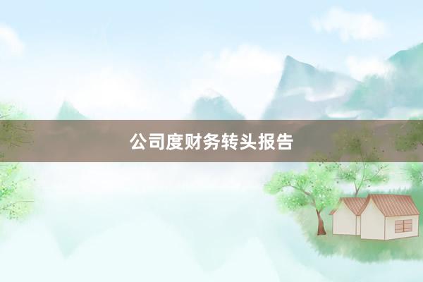 公司度财务转头报告