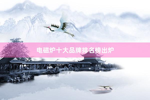 电磁炉十大品牌排名榜出炉